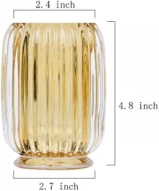 Gaolinci Multi-Use Glass Tumbler Holder
