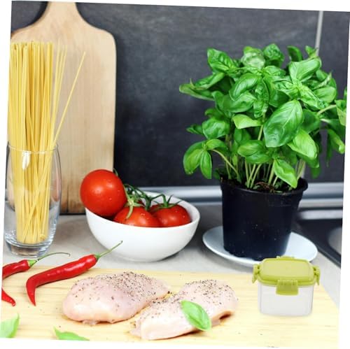 VILLFUL Set of 12 Mini Squeeze Bottles for Seasoning Storage